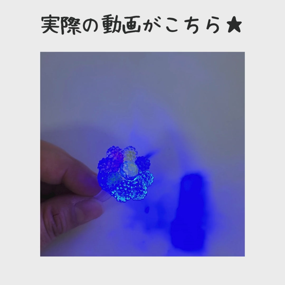 フラッシュつぶつぶシュガーリング＊50個入