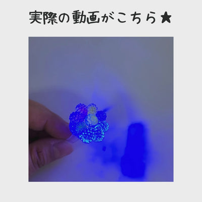 フラッシュつぶつぶシュガーリング＊50個入